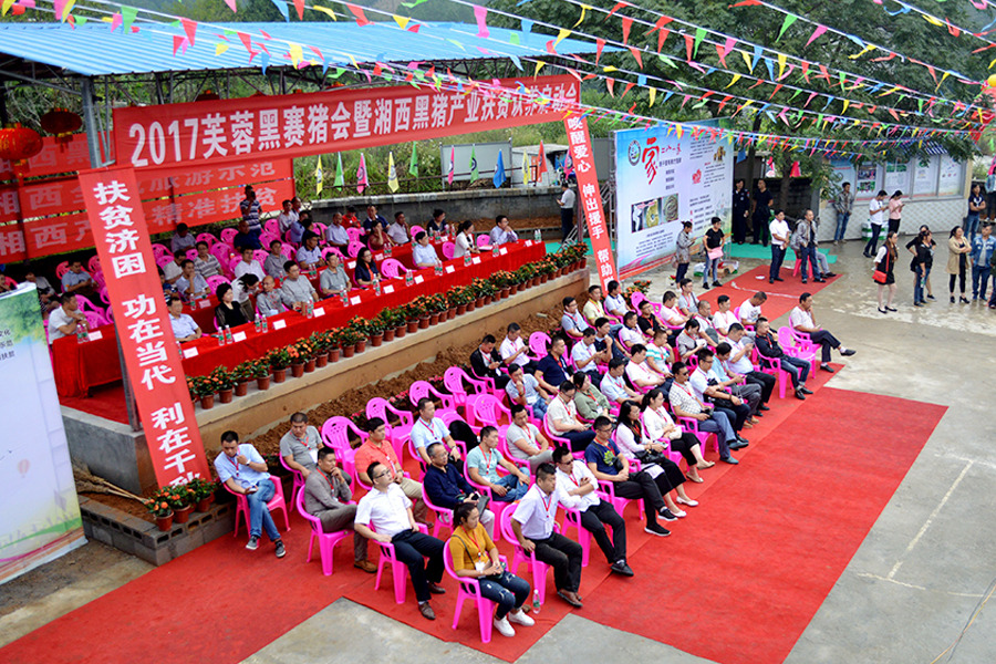 001.JPG